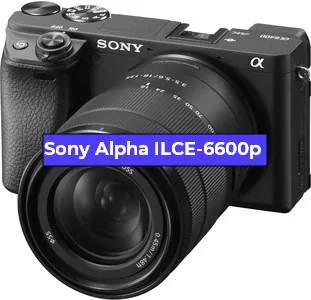 Ремонт фотоаппарата Sony Alpha ILCE-6600p в Новосибирске